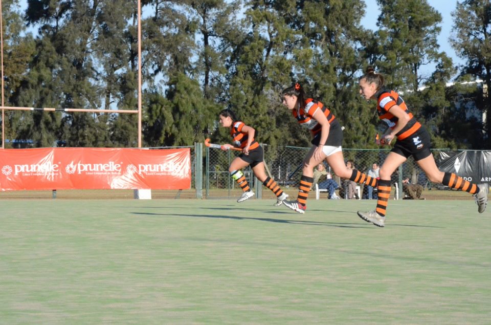hockey_lineac_2012_3